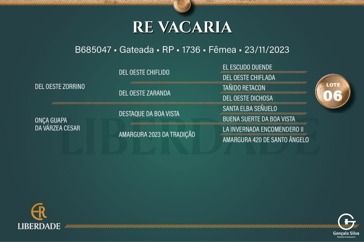 Geração  RE VACARIA