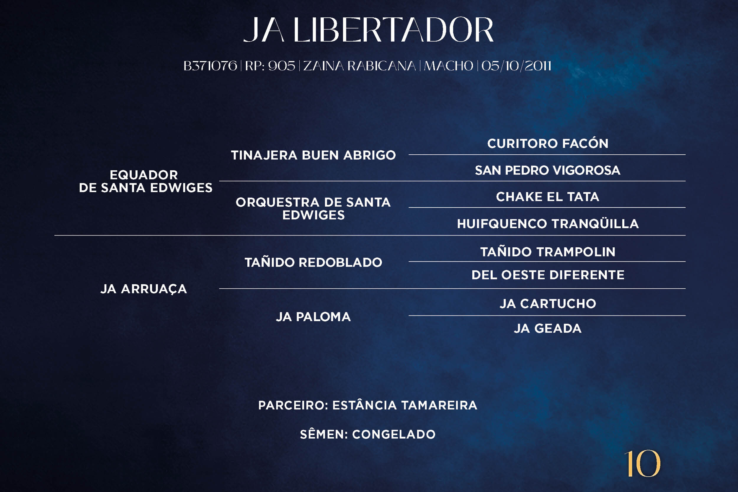 Geração JA LIBERTADOR