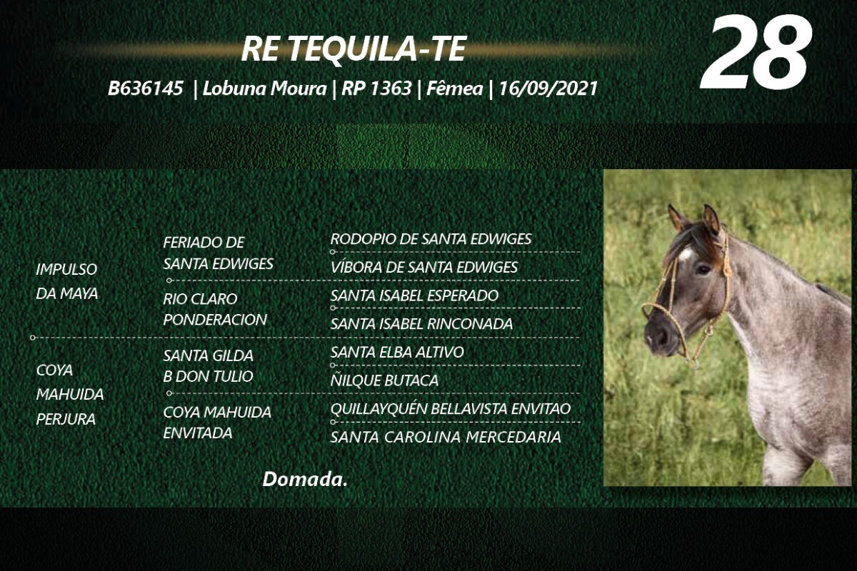 Geração RE TEQUILA-TE