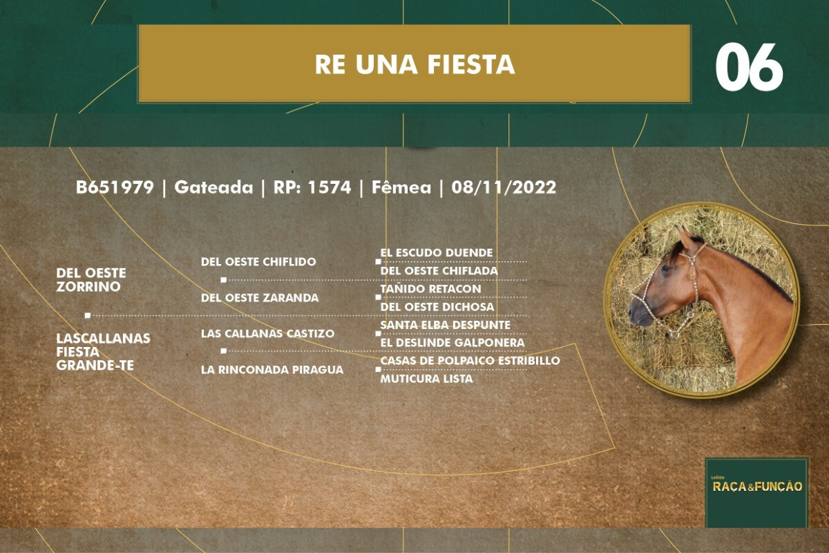 Geração  RE UNA FIESTA