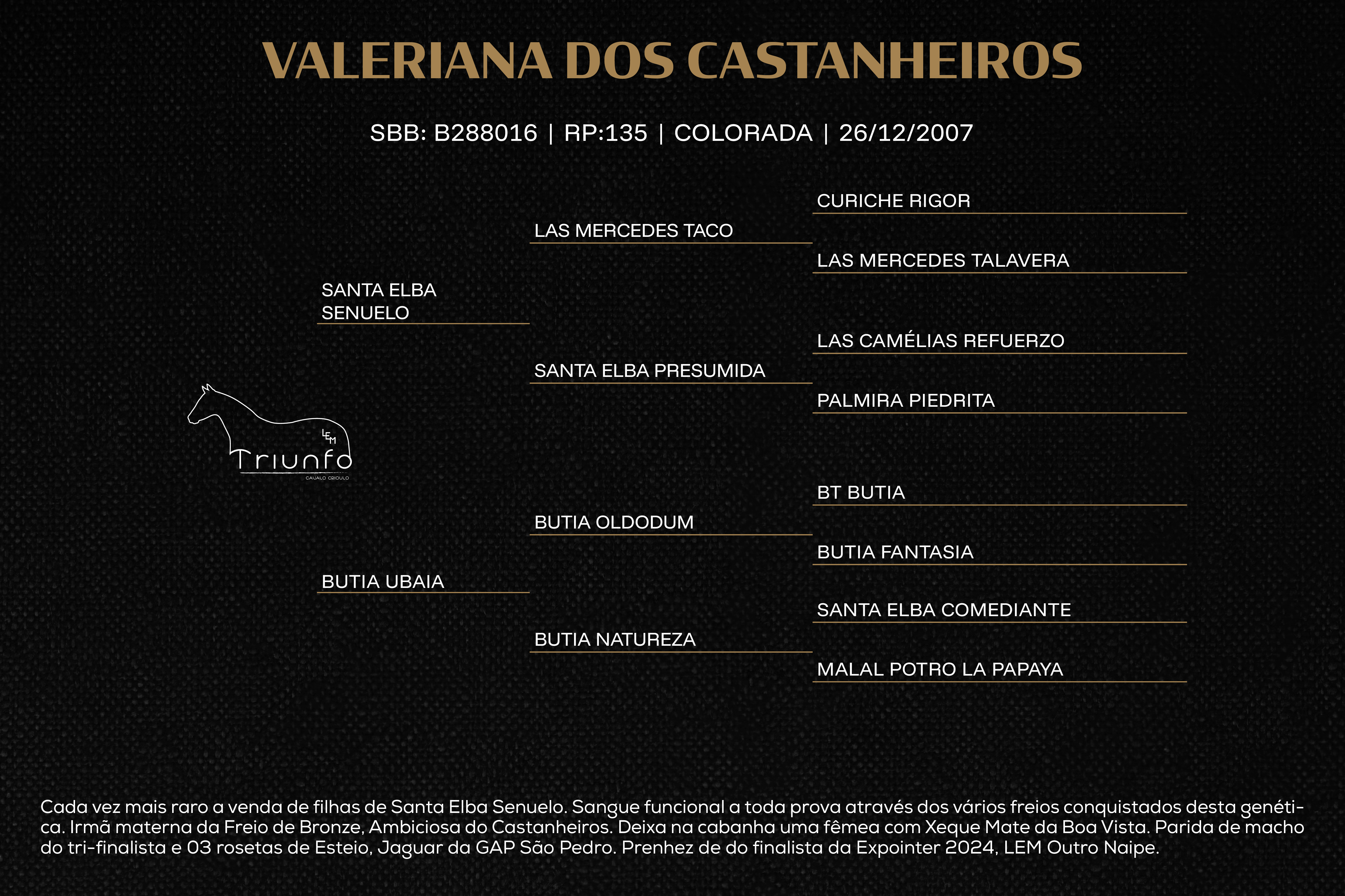 Geração VALERIANA DOS CASTANHEIROS