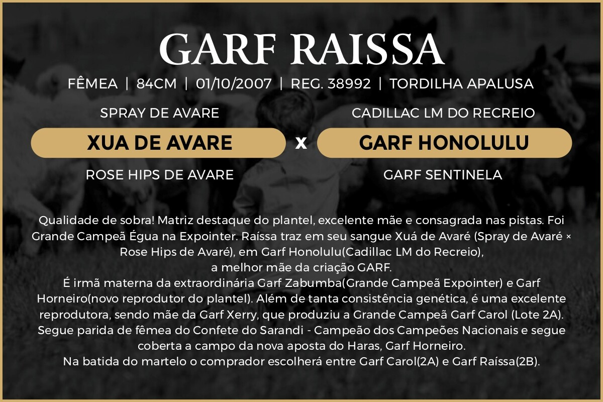 Geração GARF RAISSA