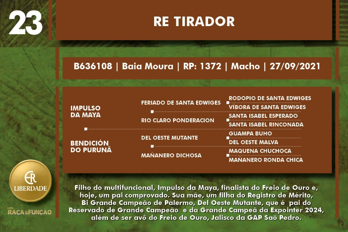 Geração RE TIRADOR