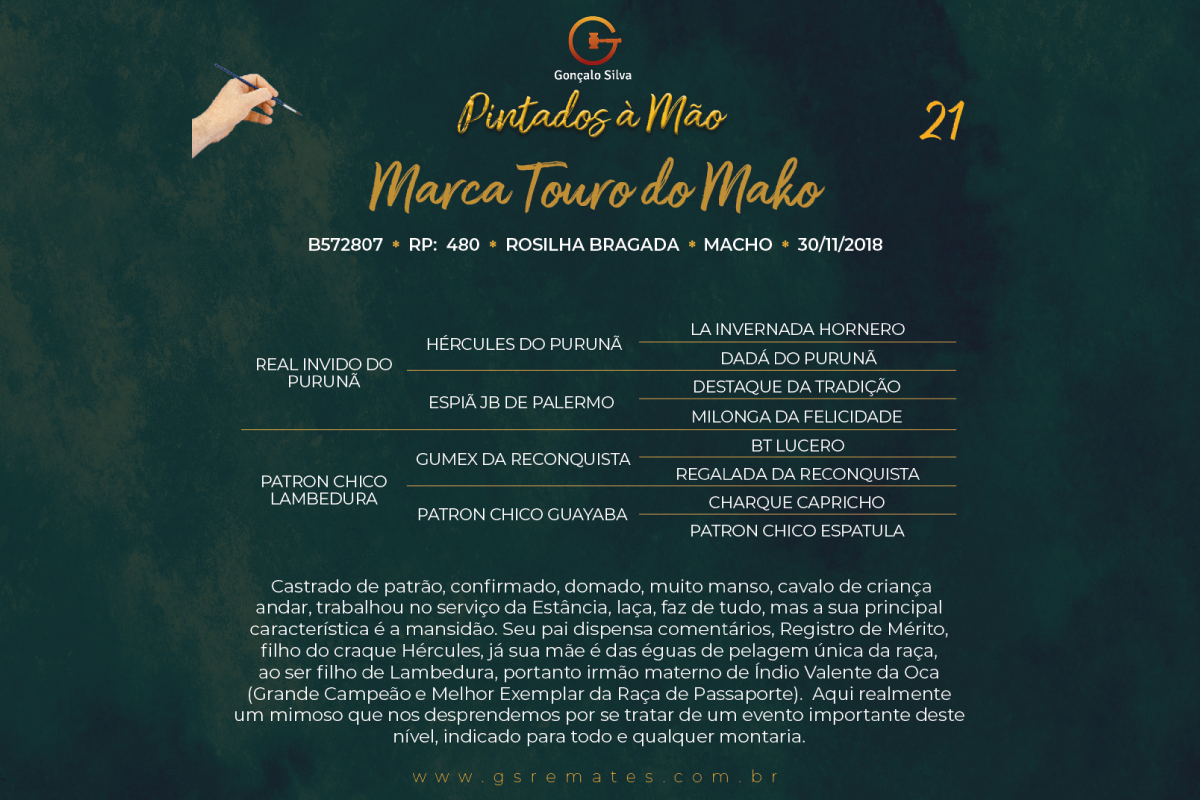 Geração MARCA TOURO DO MAKO