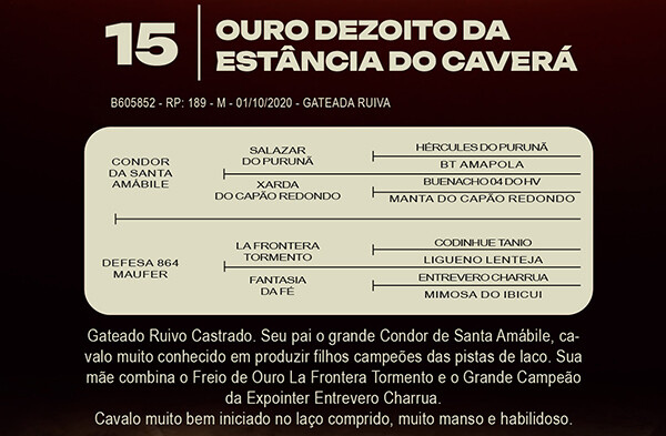 Geração OURO DEZOITO DA ESTANCIA CAVERA