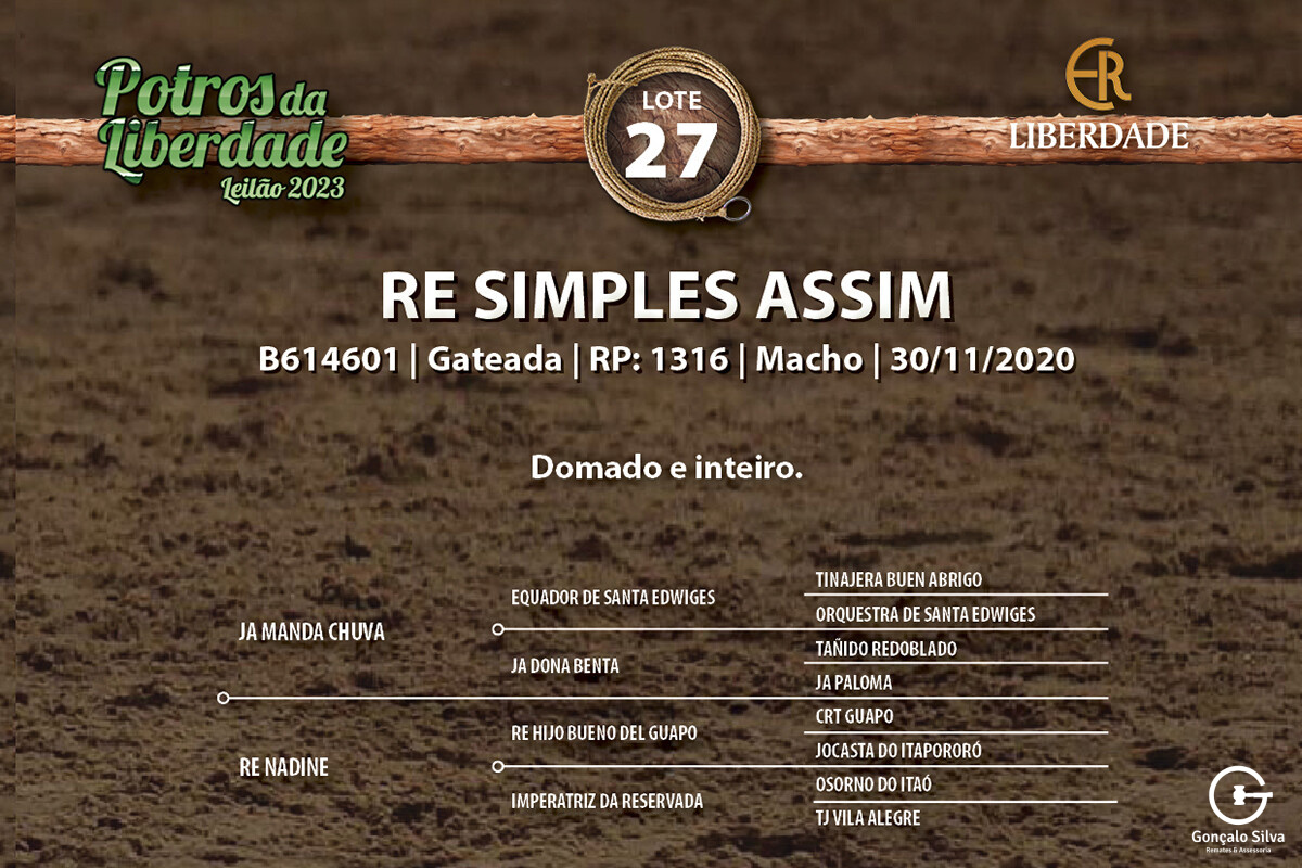 Geração RE SIMPLES ASSIM