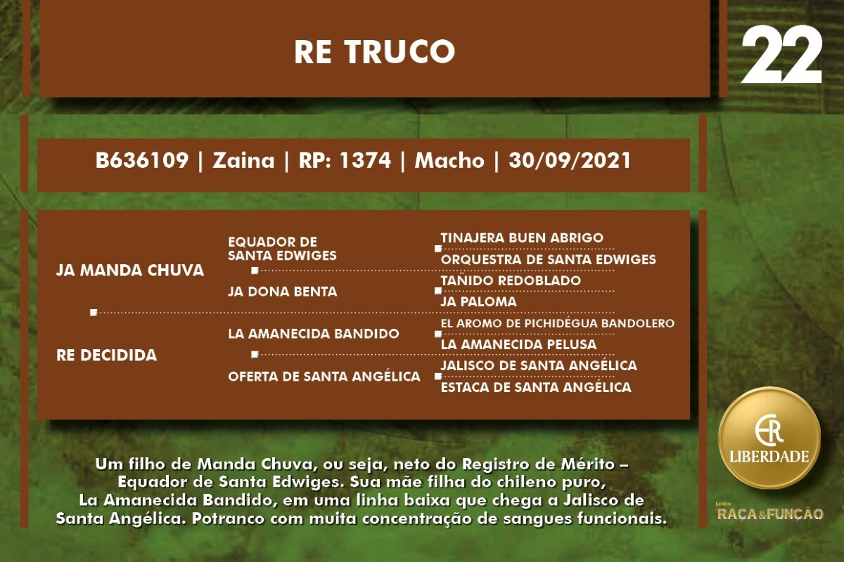 Geração RE TRUCO