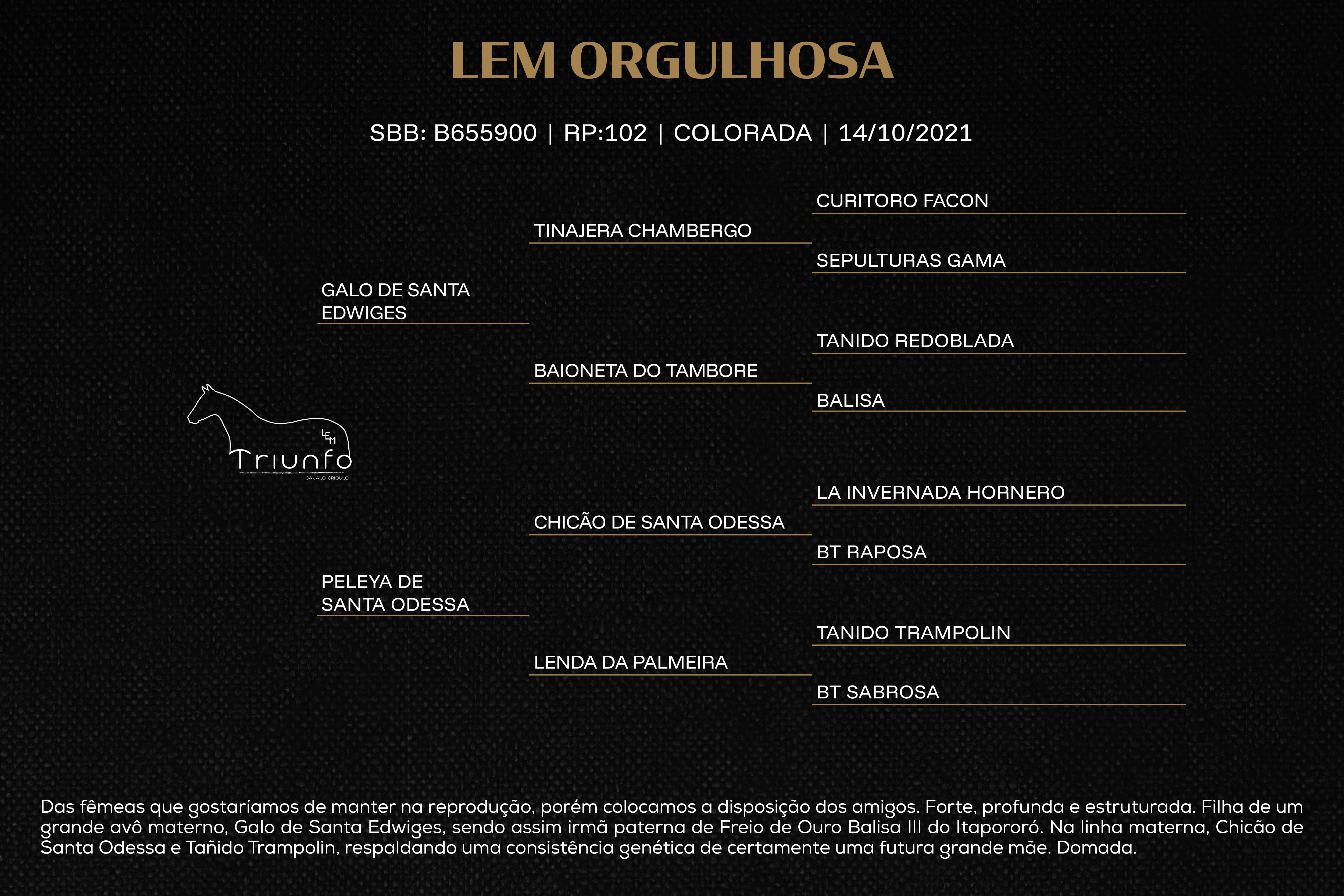 Geração LEM ORGULHOSA