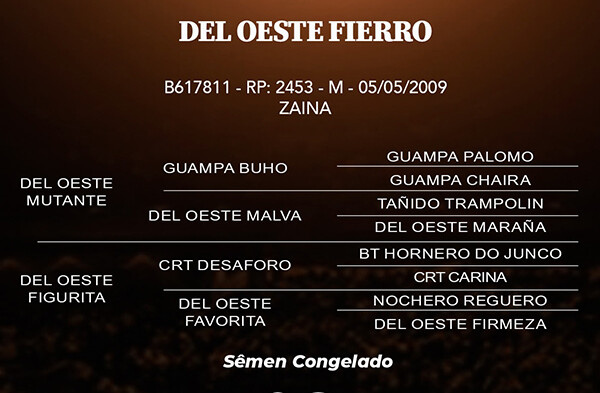 Geração DEL OESTE FIERRO