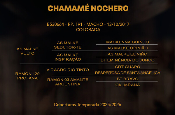 Geração CHAMAMÉ NOCHERO