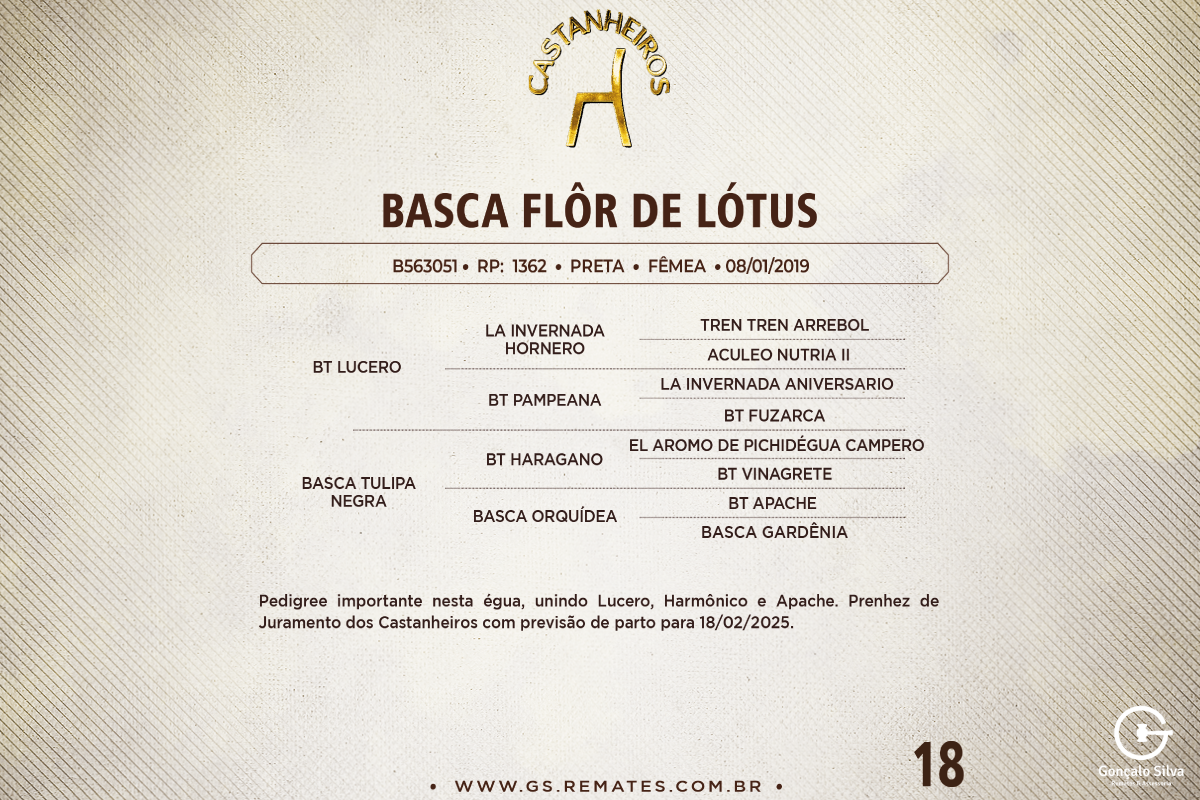 Geração BASCA FLOR DE LÓTUS