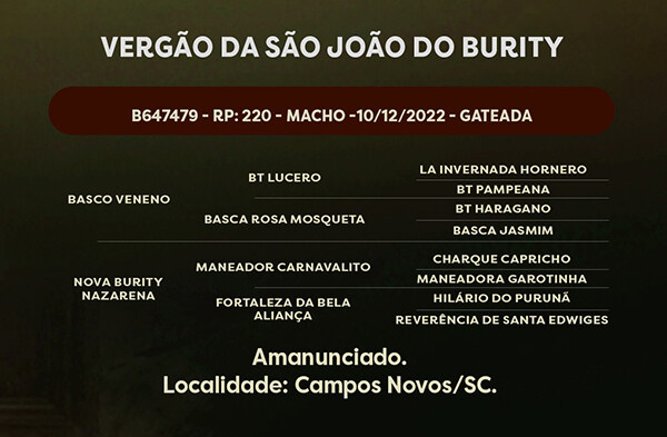 Geração VERGÃO DA SÃO JOÃO DO BURITY