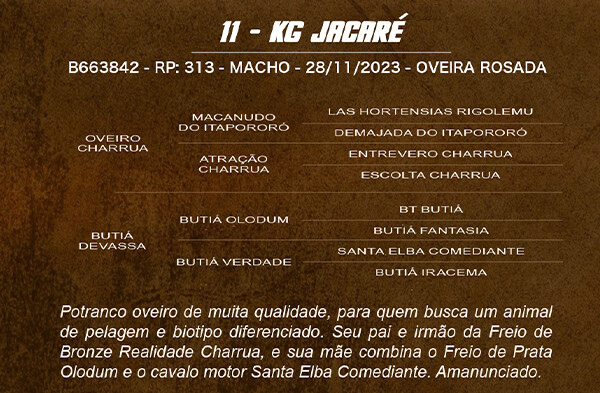 Geração KG JACARÉ