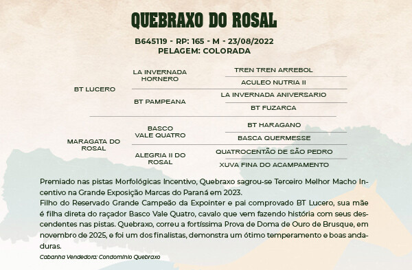 Geração QUEBRAXO DO ROSAL 