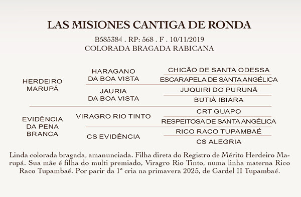 Geração LAS MISIONES CANTIGA DE RONDA