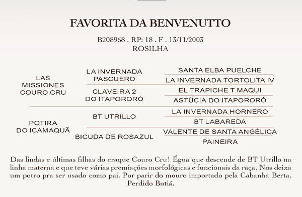 Geração FAVORITA DA BENVENUTTO