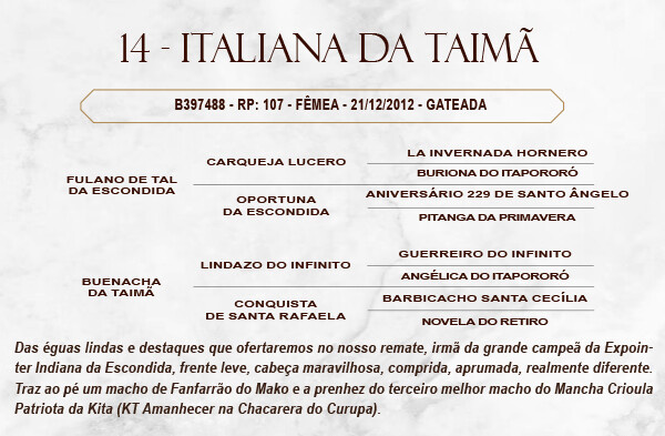 Geração ITALIANA DA TAIMÃ