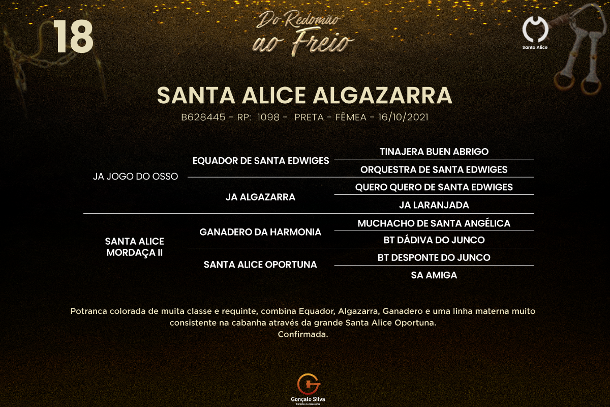 Geração  SANTA ALICE ALGAZARRA