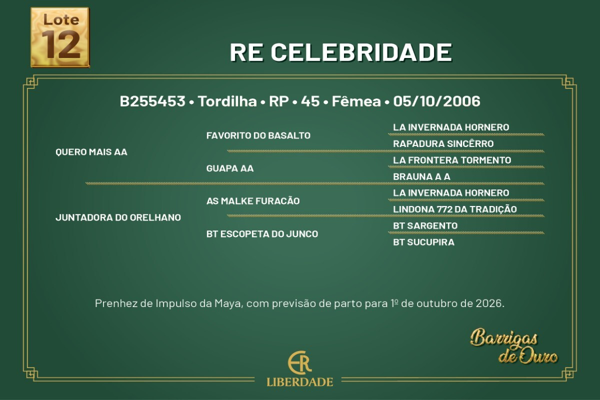 Geração RE CELEBRIDADE