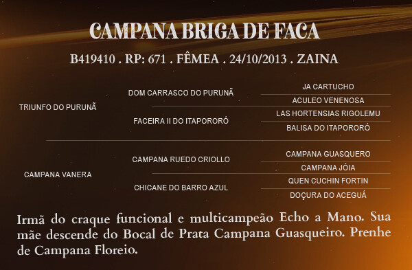 Geração CAMPANA BRIGA DE FACA