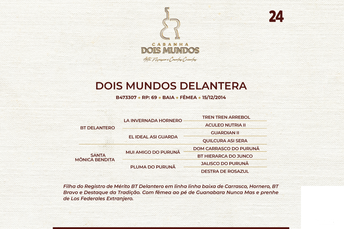 Geração DOIS MUNDOS DELANTERA