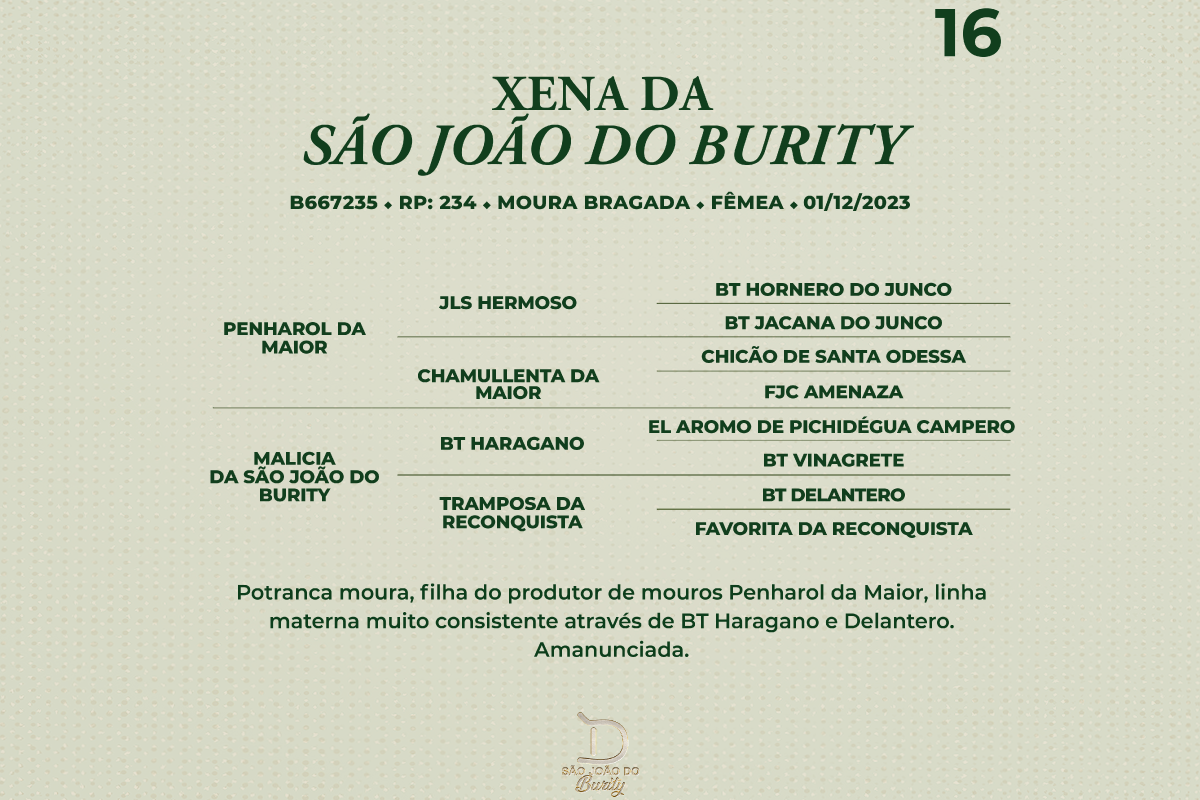Geração XENA DA SÃO JOÃO DO BURITY