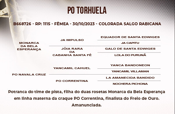 Geração PO TORHUELA