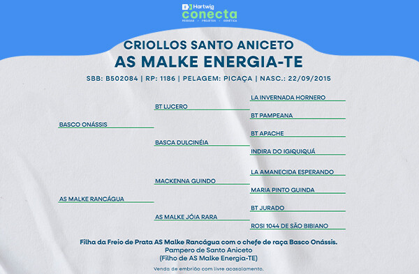 Geração AS MALKE ENERGIA-TE - (EMBRIÃO)