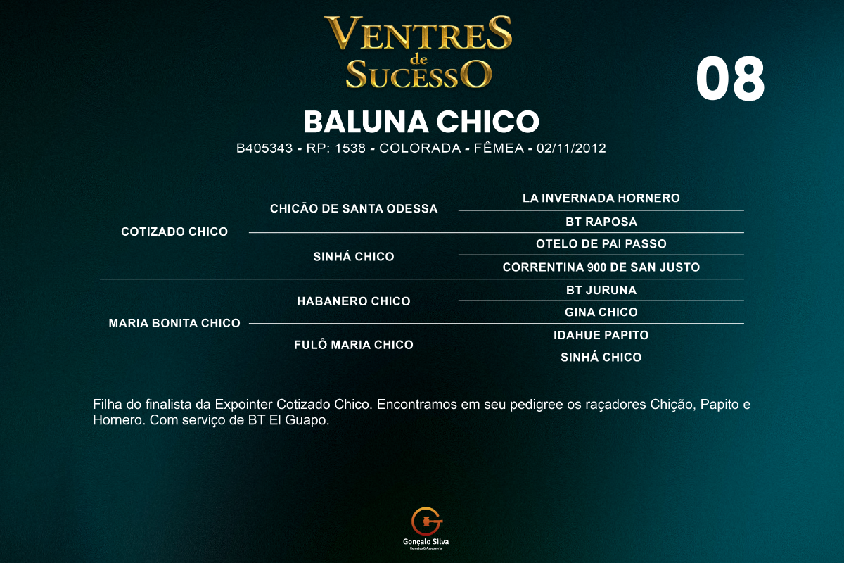 Geração BALUNA CHICO