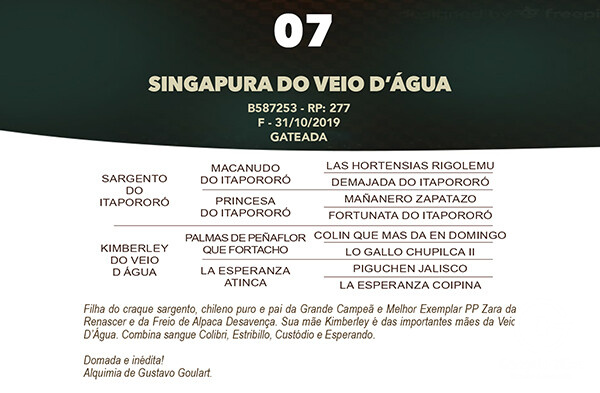 Geração SINGAPURA DO VEIO D'AGUA