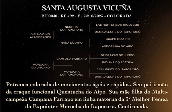 Geração SANTA AUGUSTA VICUÑA