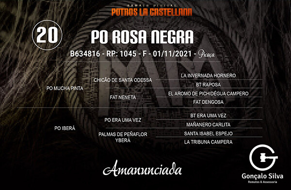 Geração PO ROSA NEGRA