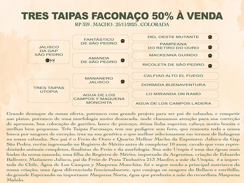 Geração TRÊS TAIPAS FACONAÇO - VENDA DE 50%