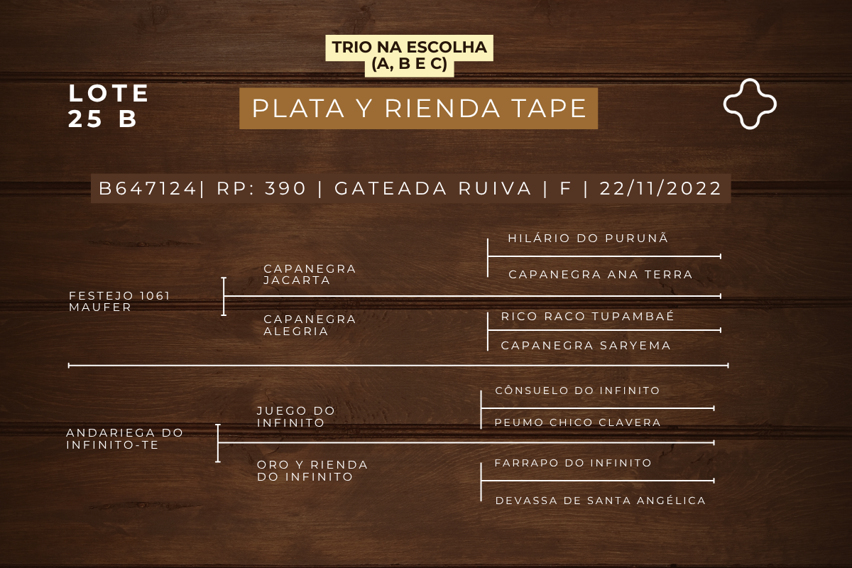 Geração NA ESCOLHA EMBRIÃO PIEDRAITA TAPE OU PLATA Y RIENDA TAPE OU QUILLAHUE TAPE