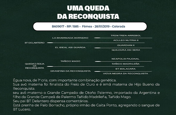 Geração UMA QUEDA DA RECONQUISTA