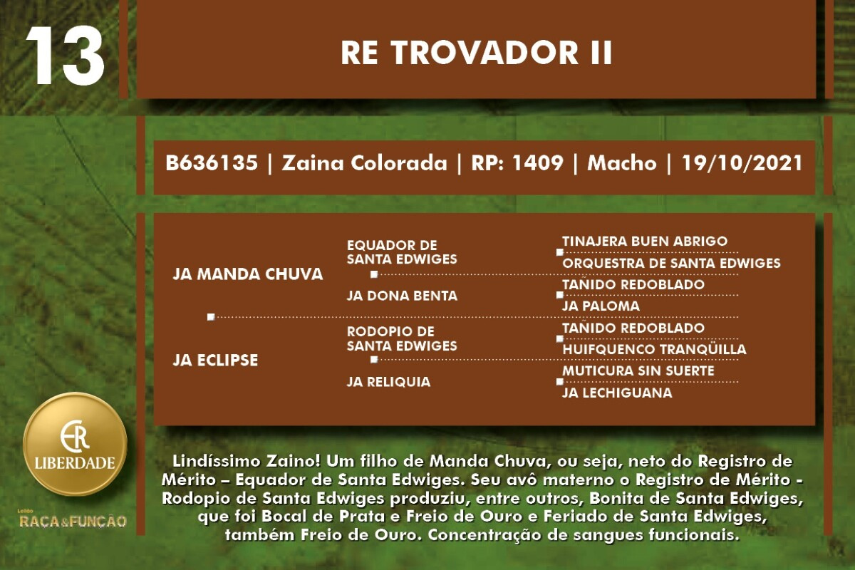 Geração RE TROVADOR II