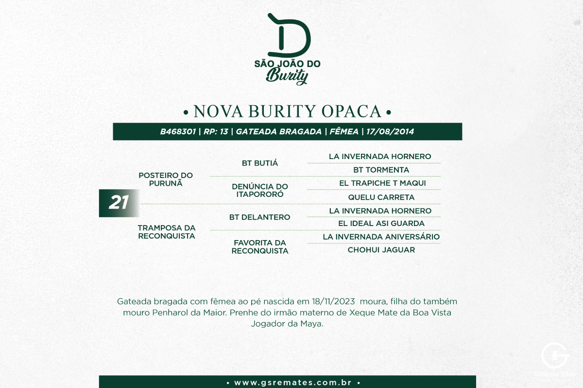 Geração NOVA BURITY OPACA