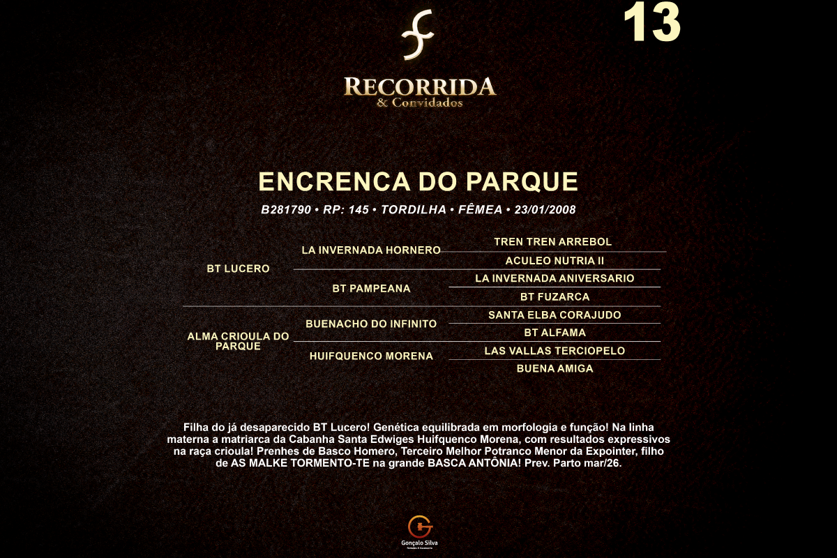 Geração ENCRENCA DO PARQUE