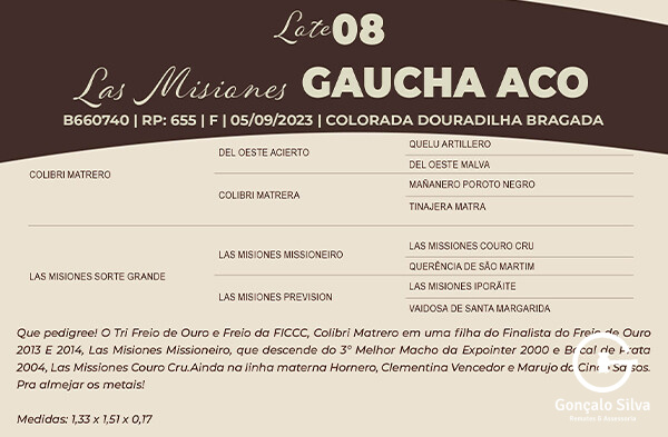 Geração LAS MISIONES GAUCHA ACO