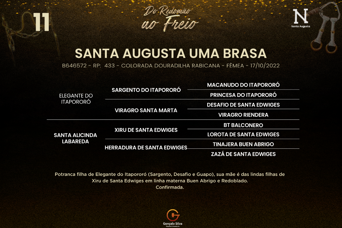 Geração SANTA AUGUSTA UMA BRASA