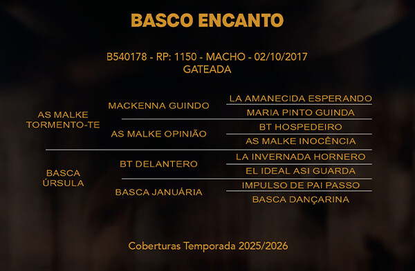 Geração BASCO ENCANTO