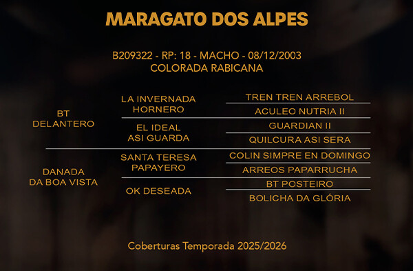 Geração MARAGATO DOS ALPES