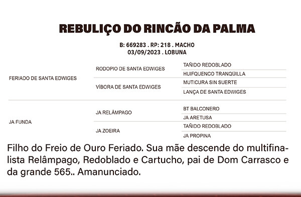 Geração REBULIÇO DO RINÇÃO DA PALMA