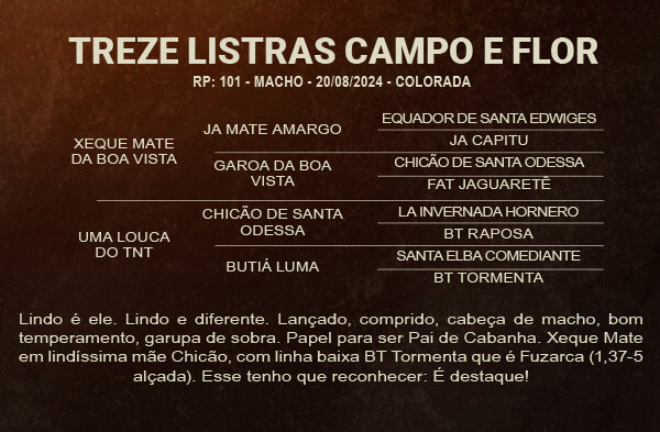 Geração TREZE LISTRAS CAMPO E FLOR