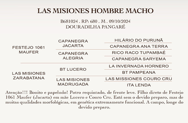 Geração LAS MISIONES HOMBRE MACHO
