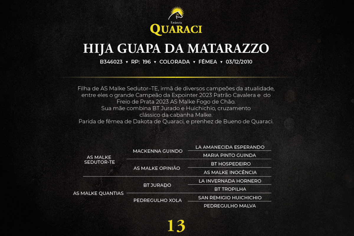 Geração HIJA GUAPA DA MATARAZZO