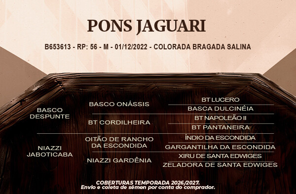 Geração Pons Jaguari