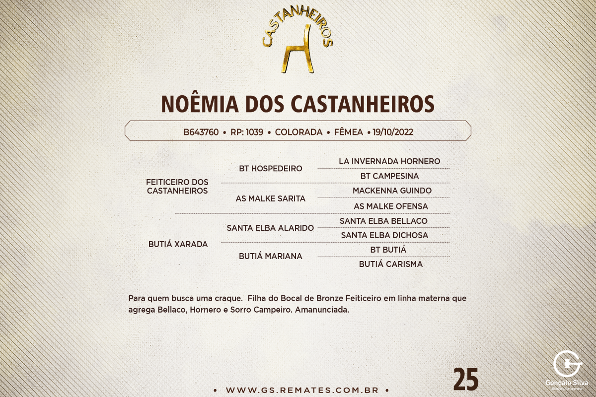 Geração NOÊMIA DOS CASTANHEIROS