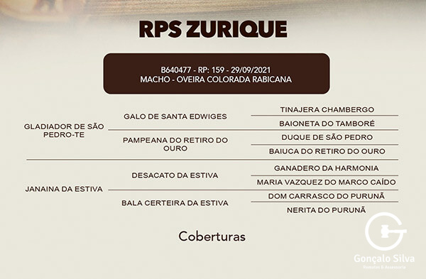 Geração COBERTURA RPS ZURIQUE