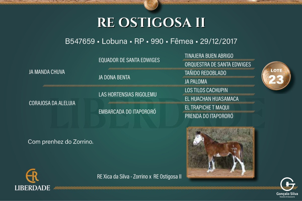 Geração RE OSTIGOSA II